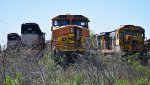 Galveston deadline
